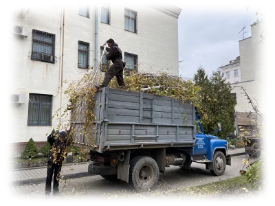 Movers Київ - Вивіз та прибирання листя Київ